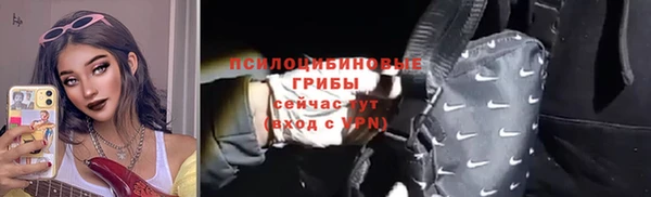 ешки Верхний Тагил