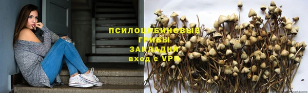 ешки Верхний Тагил