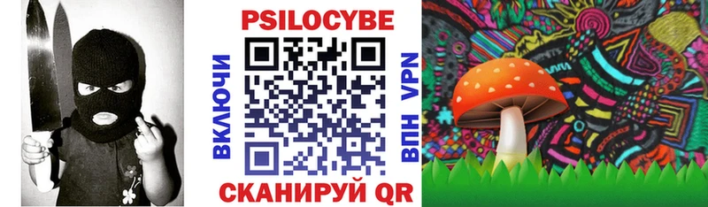 как найти закладки  Лосино-Петровский  Псилоцибиновые грибы MAGIC MUSHROOMS 